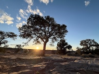 Colorado National Monument close by.