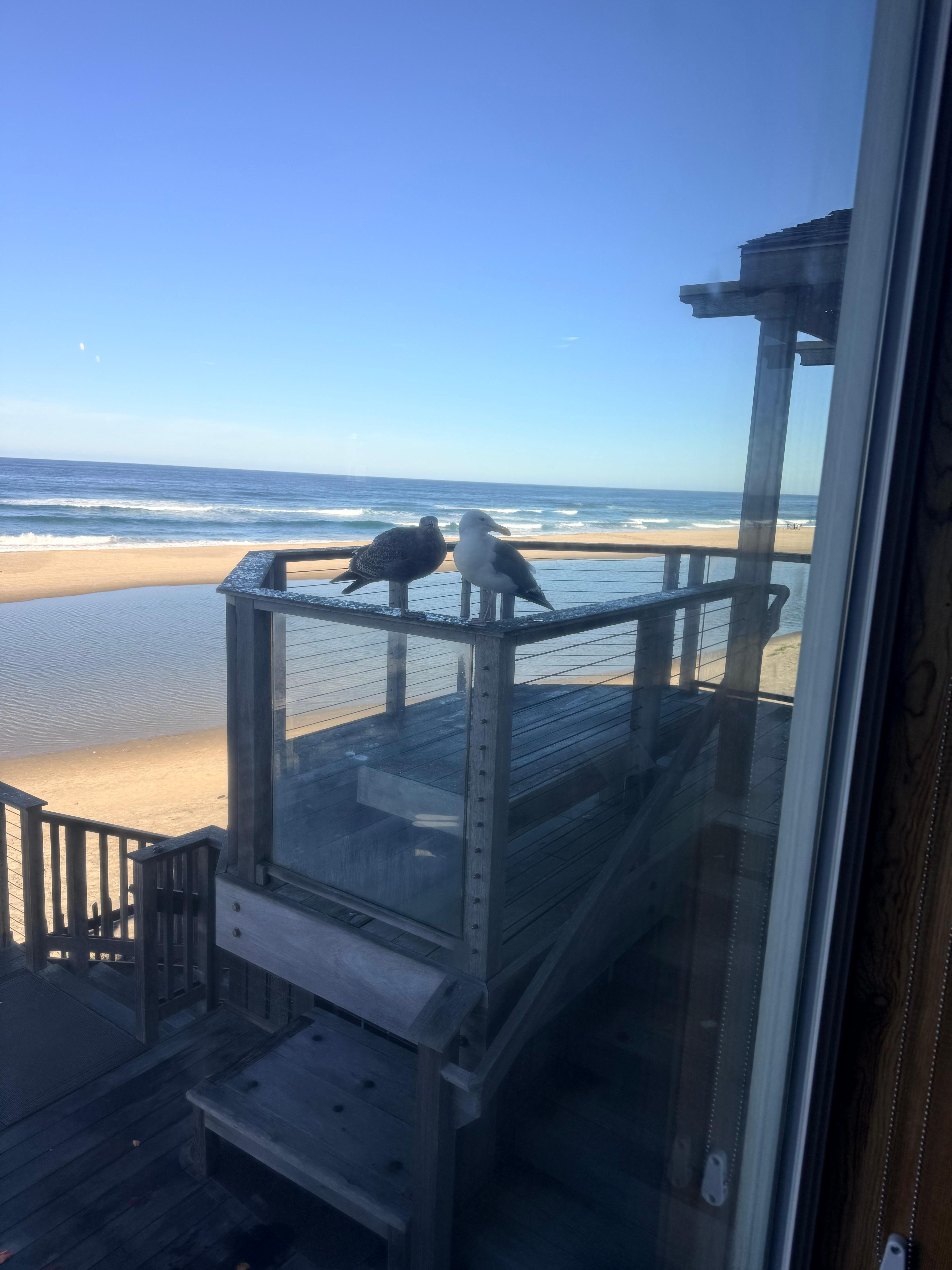 The house feels secluded and private even though it’s in a neighborhood. Most of the beach goers looked like locals and most of the time there weren’t many people out there at all. 