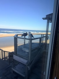 The house feels secluded and private even though it’s in a neighborhood. Most of the beach goers looked like locals and most of the time there weren’t many people out there at all.