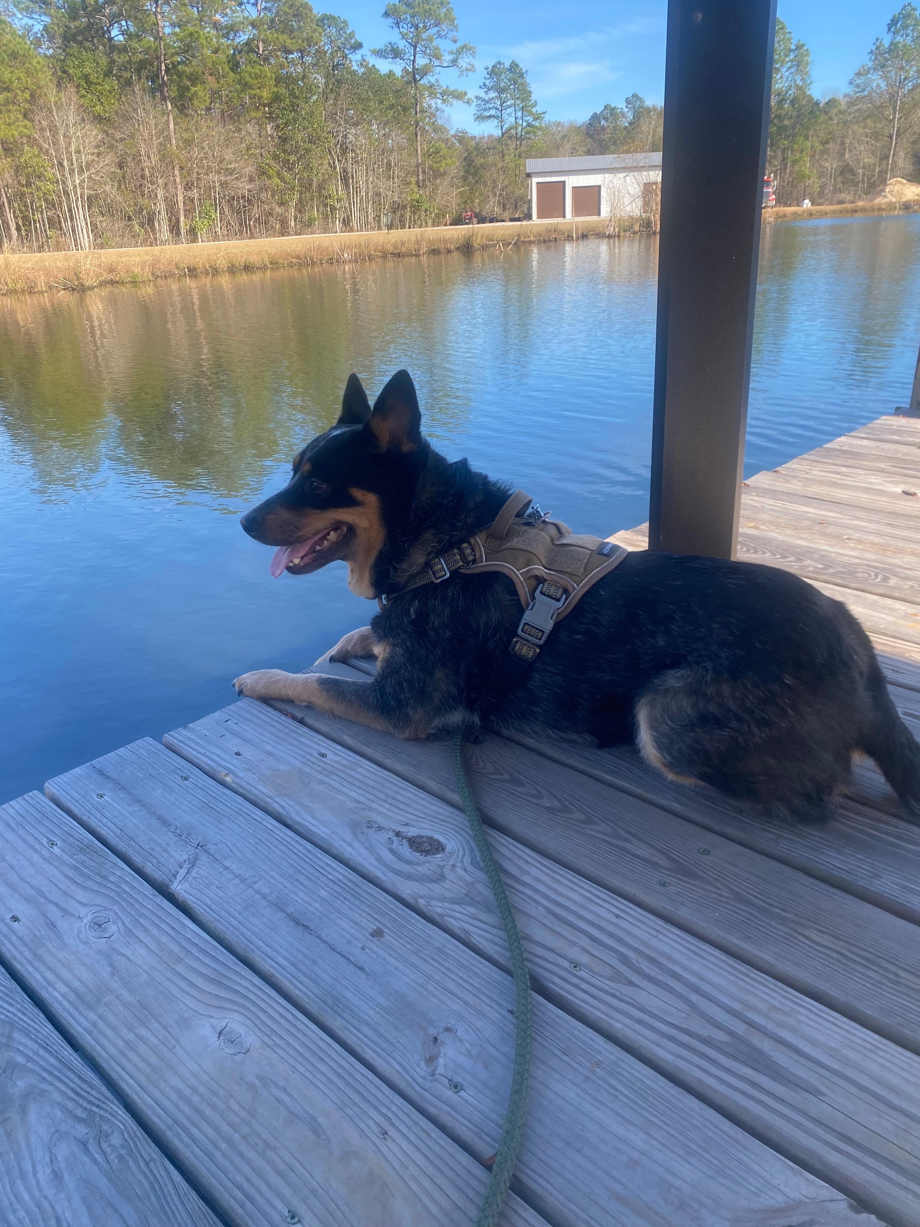 Enjoying the fully stocked pond. 