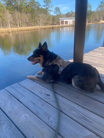 Enjoying the fully stocked pond.