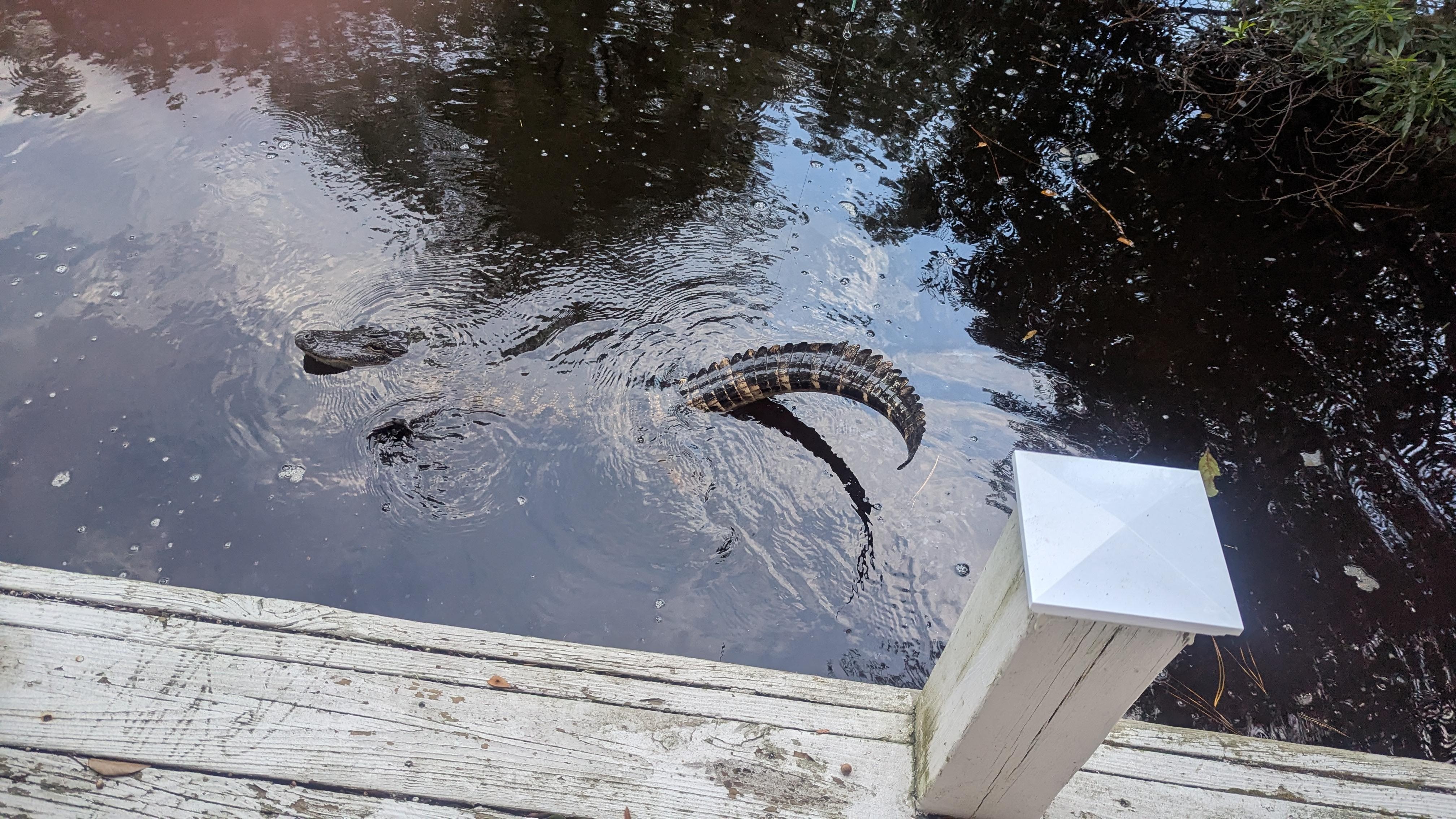 The only thing he caught!!!