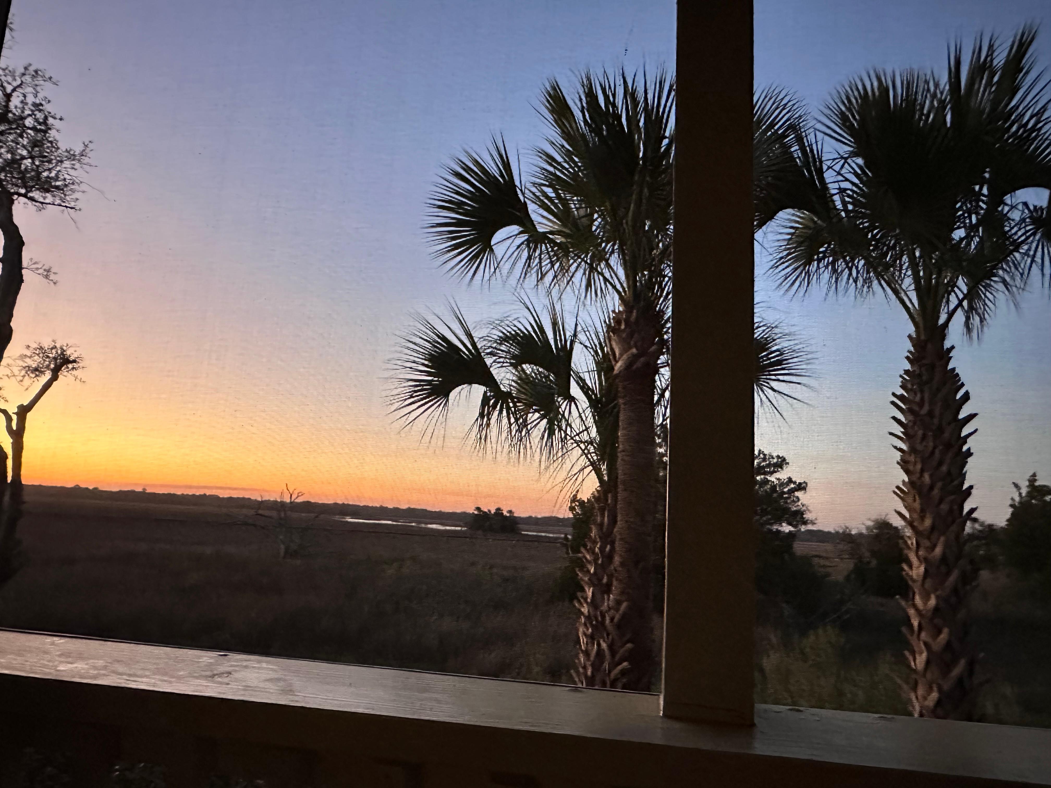 View from screened patio 