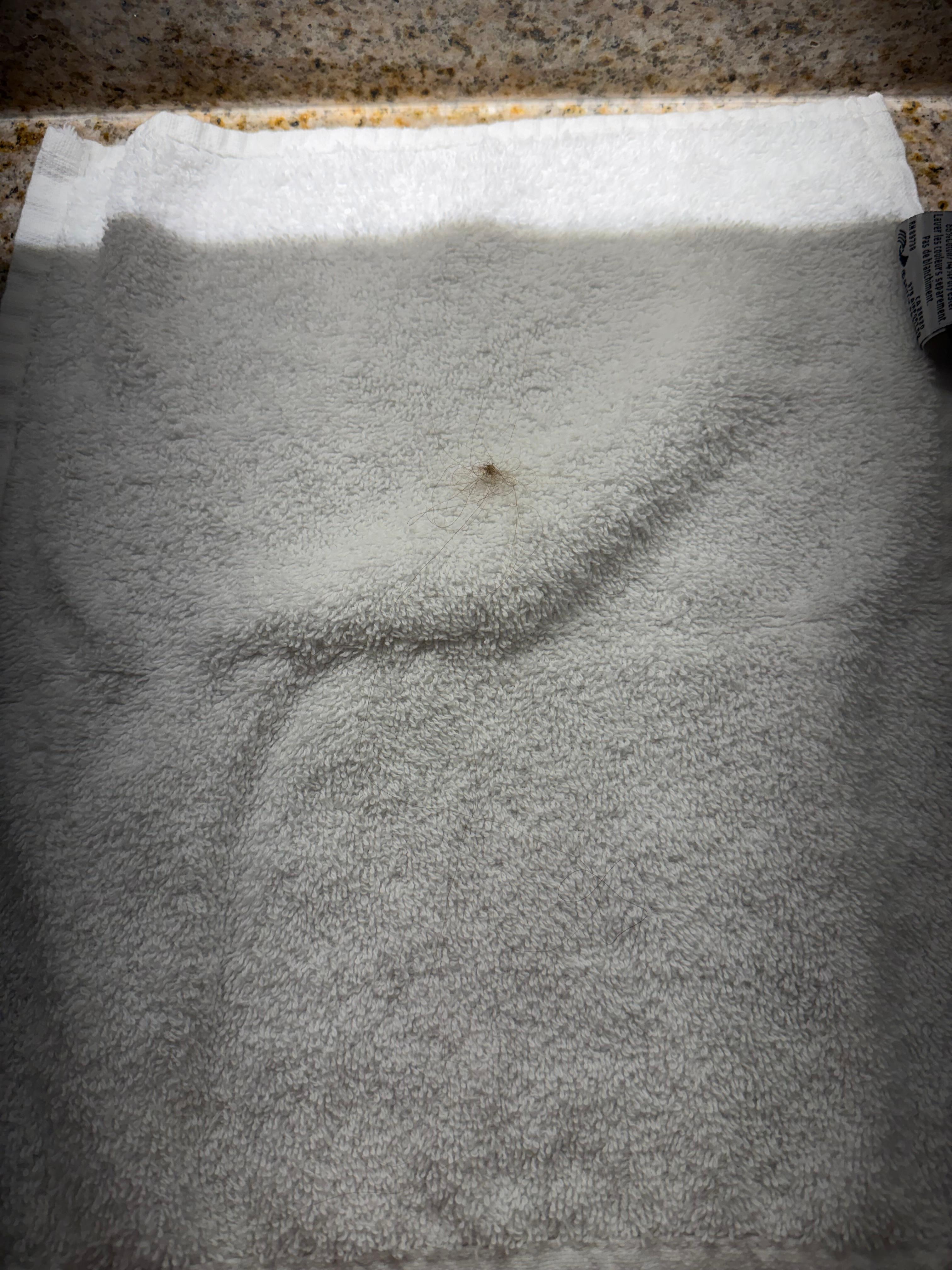 We found 2 towels with hair stuck on them