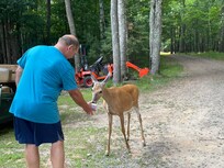 Feeding ‘Honey’