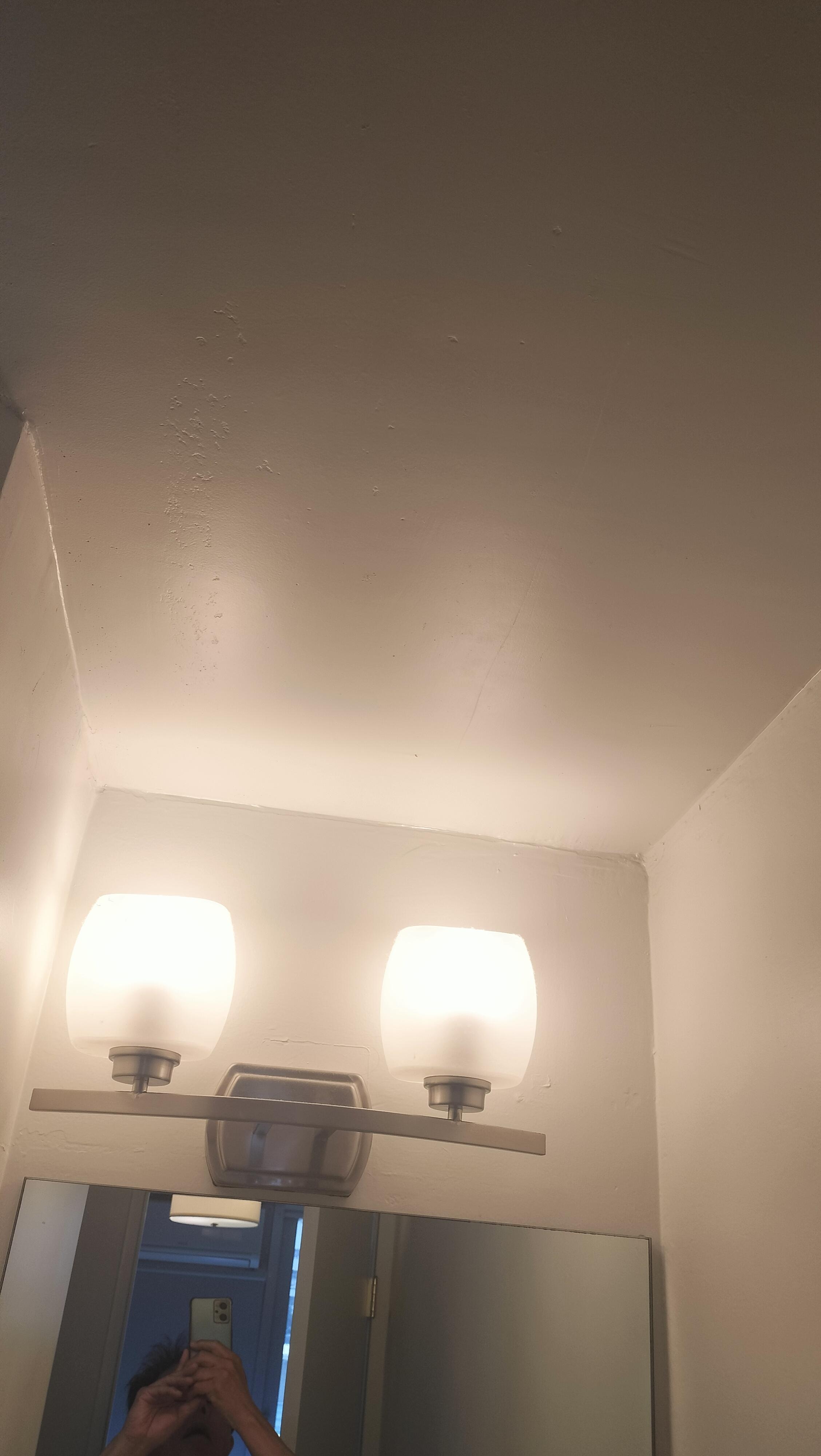 虫がすごくて不衛生