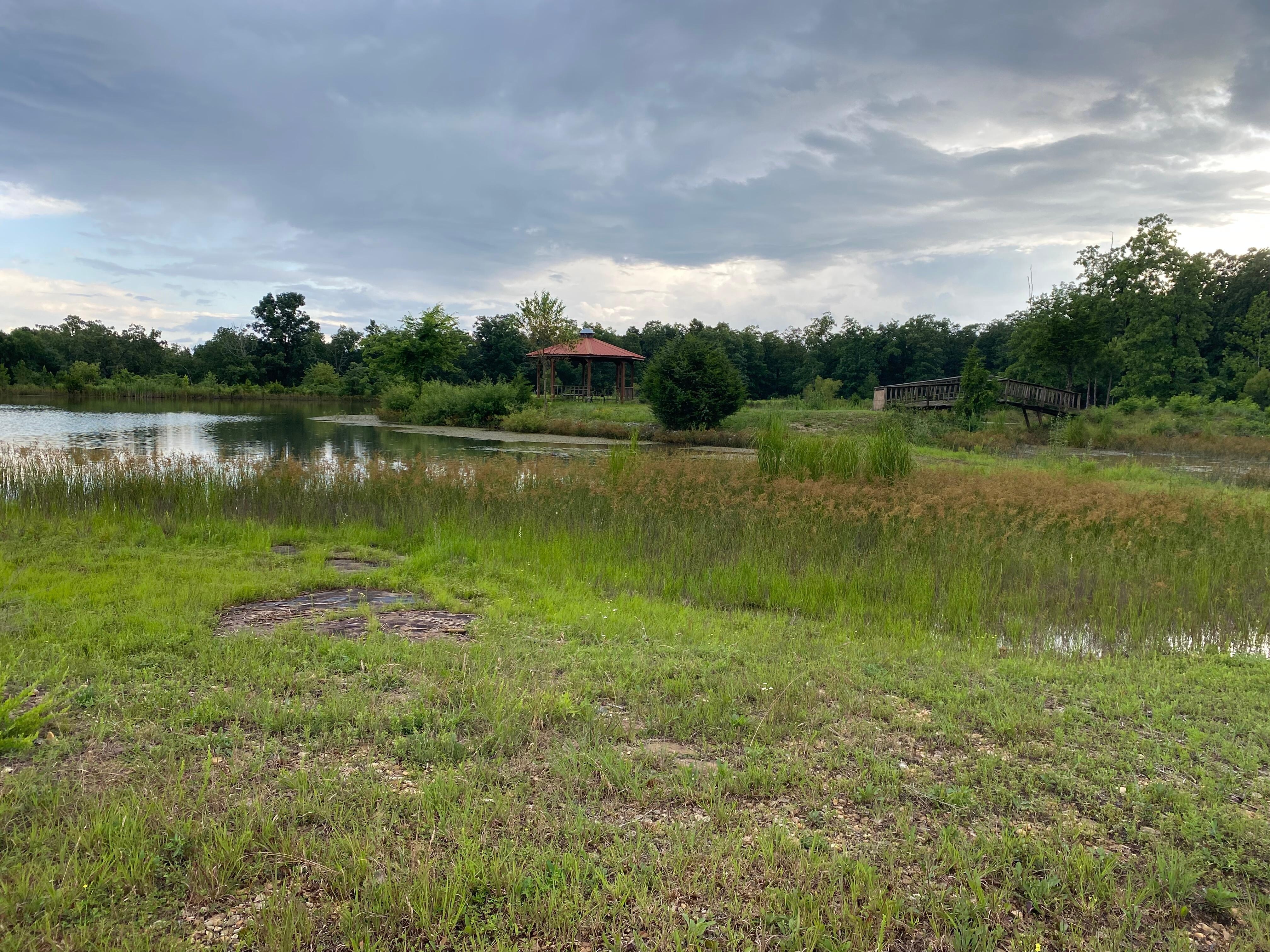 Fishing pond.