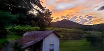 Sunrise over the orchard
