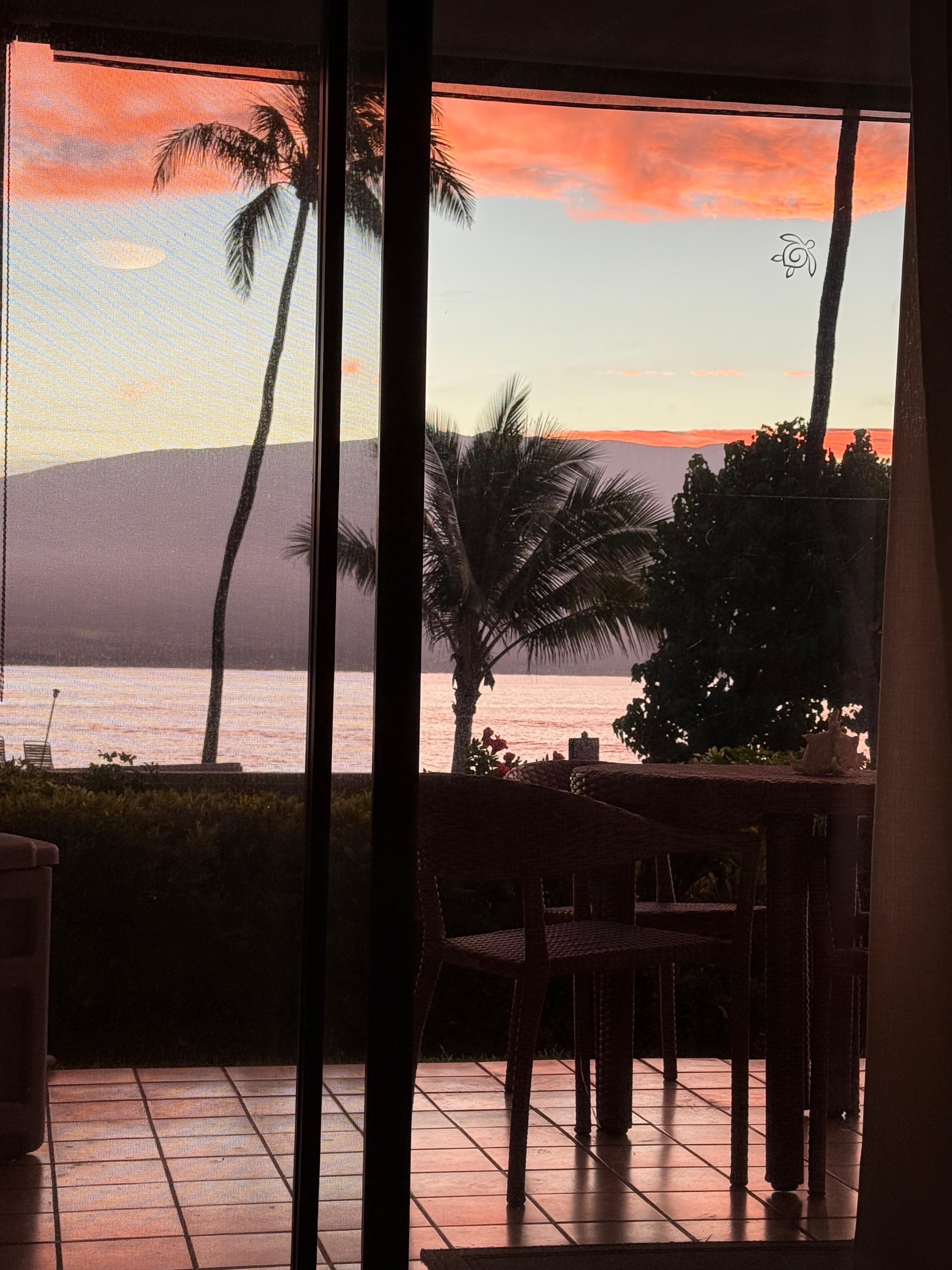 View from den sliding glass door