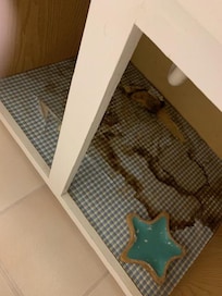 Under the bathroom sink