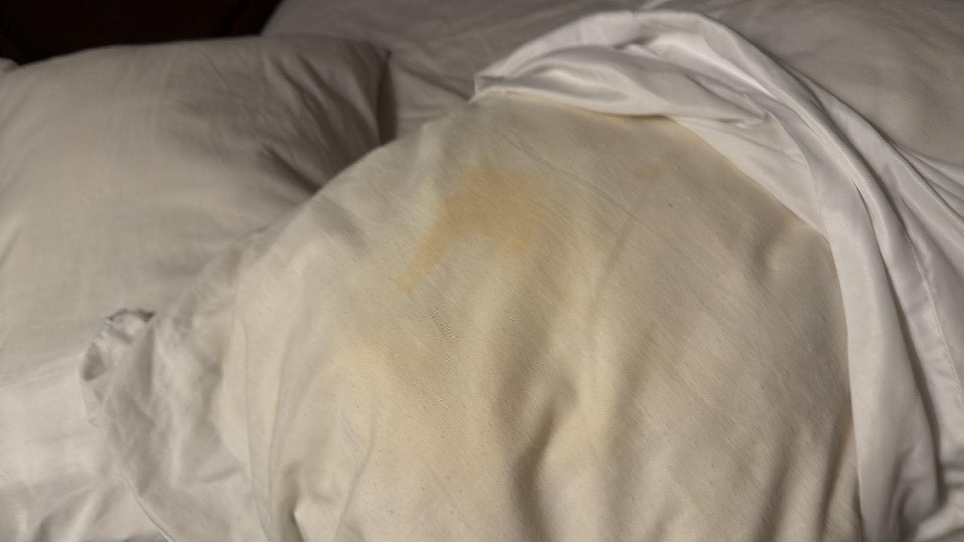 This was 1 of 4 pillows