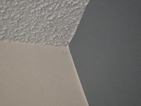 More mold