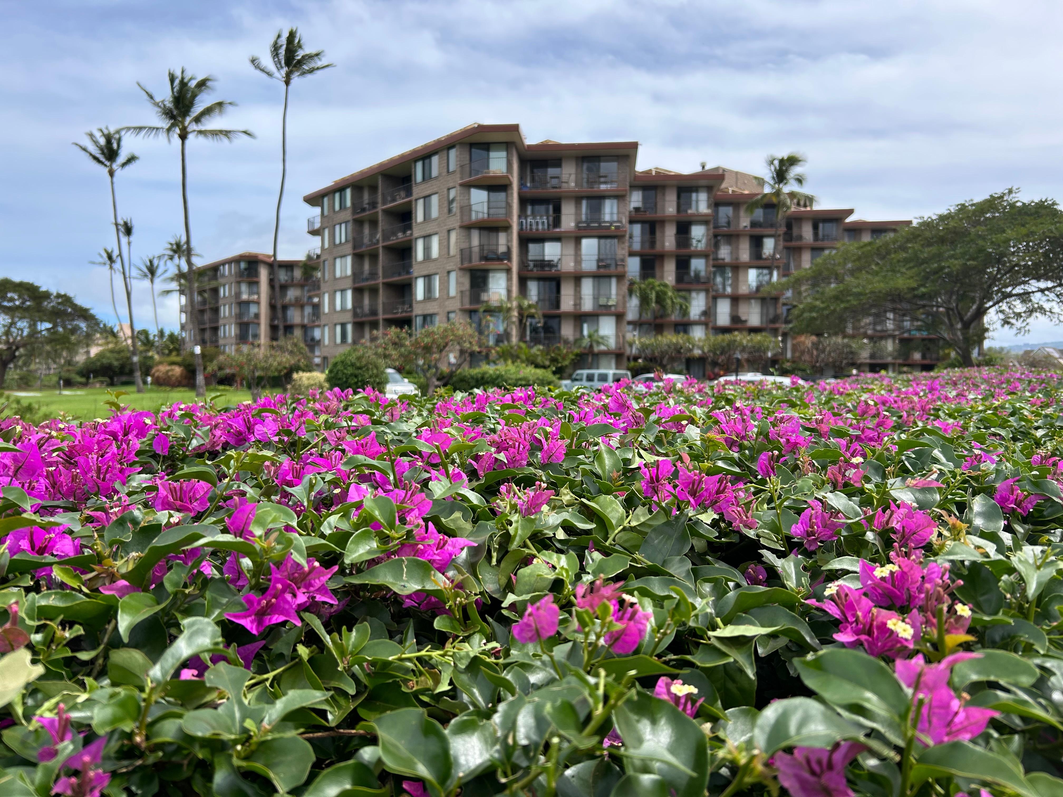 Kauhale Makai—our third stay!