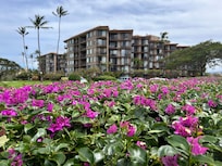 Kauhale Makai—our third stay!
