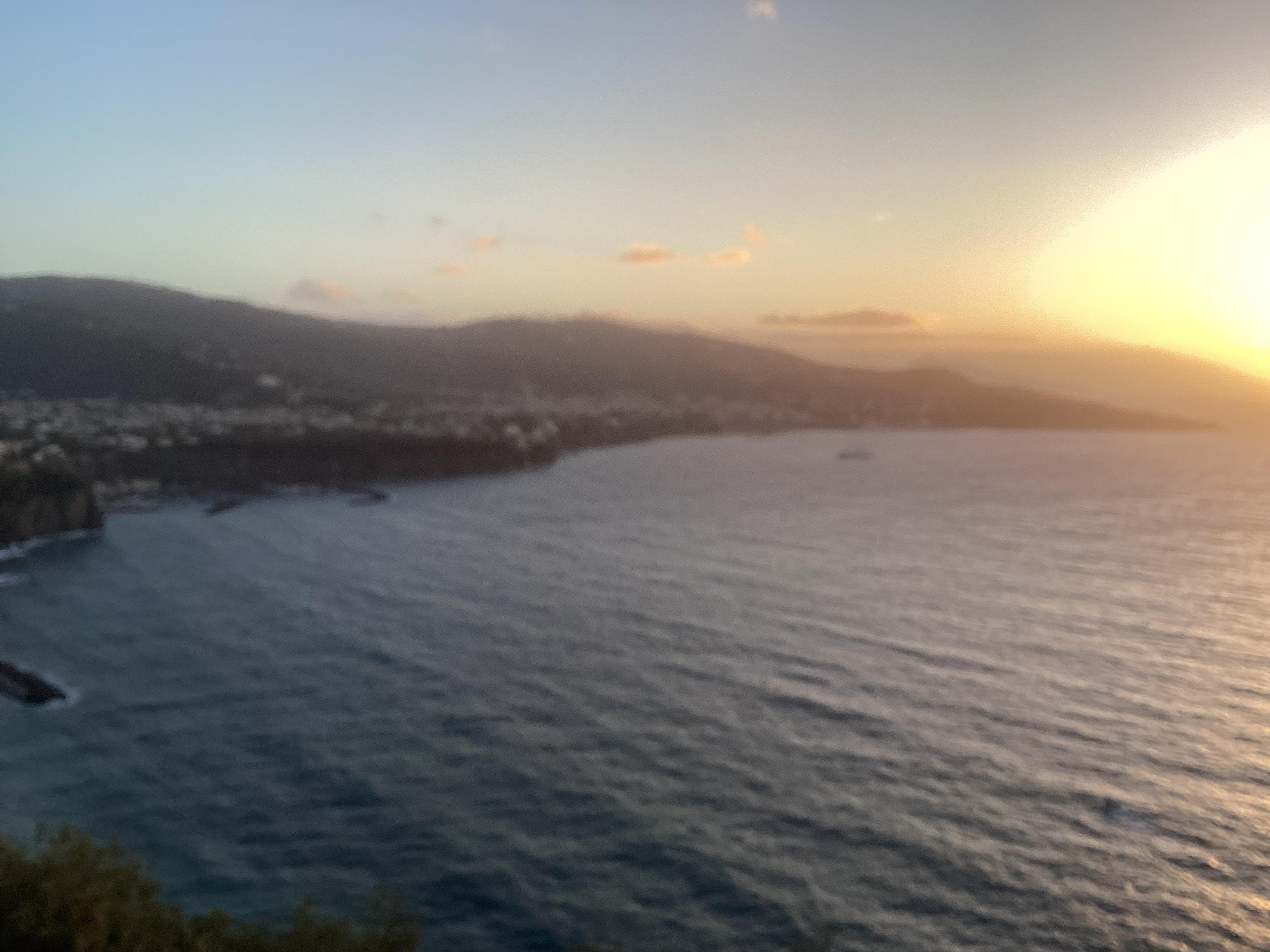 Beautiful at sunset!