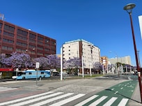 Frente a estación de tranvía