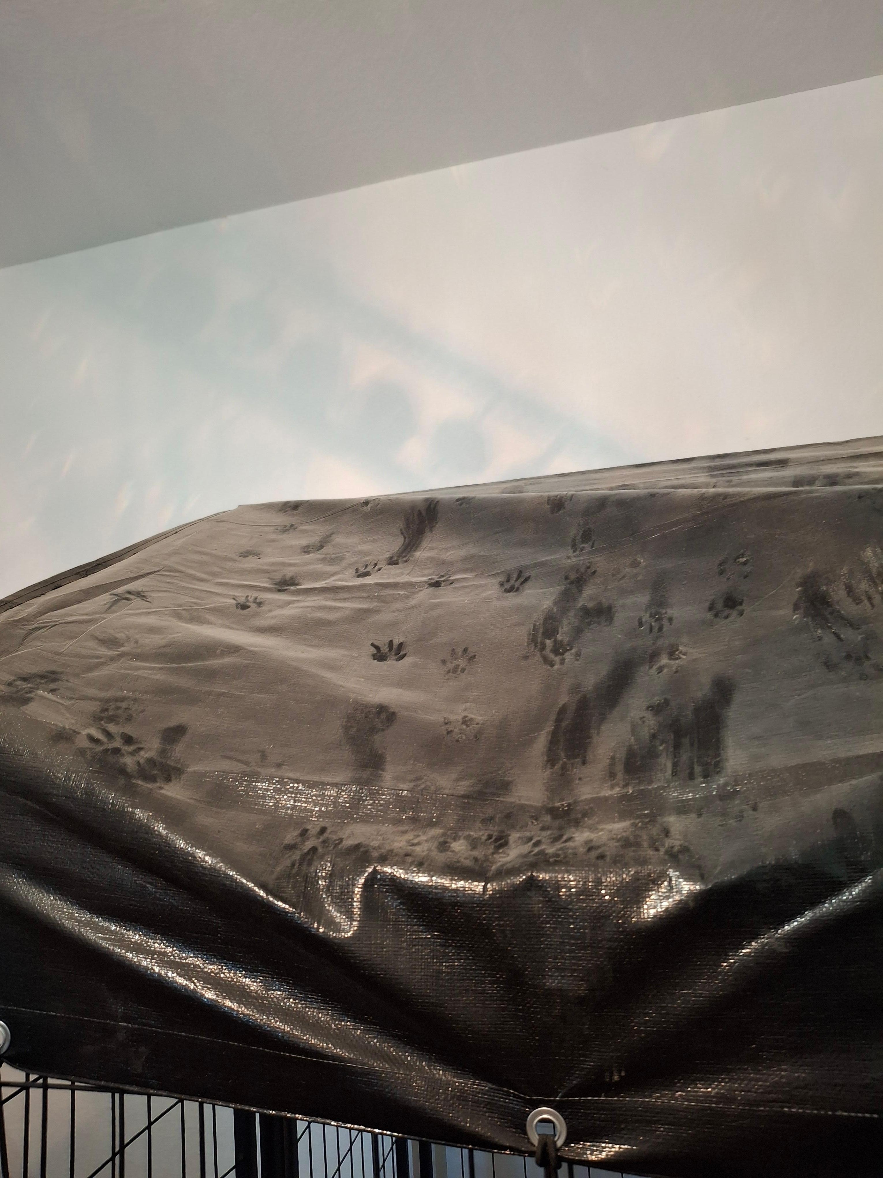 Drywalle dust that was everywhere!