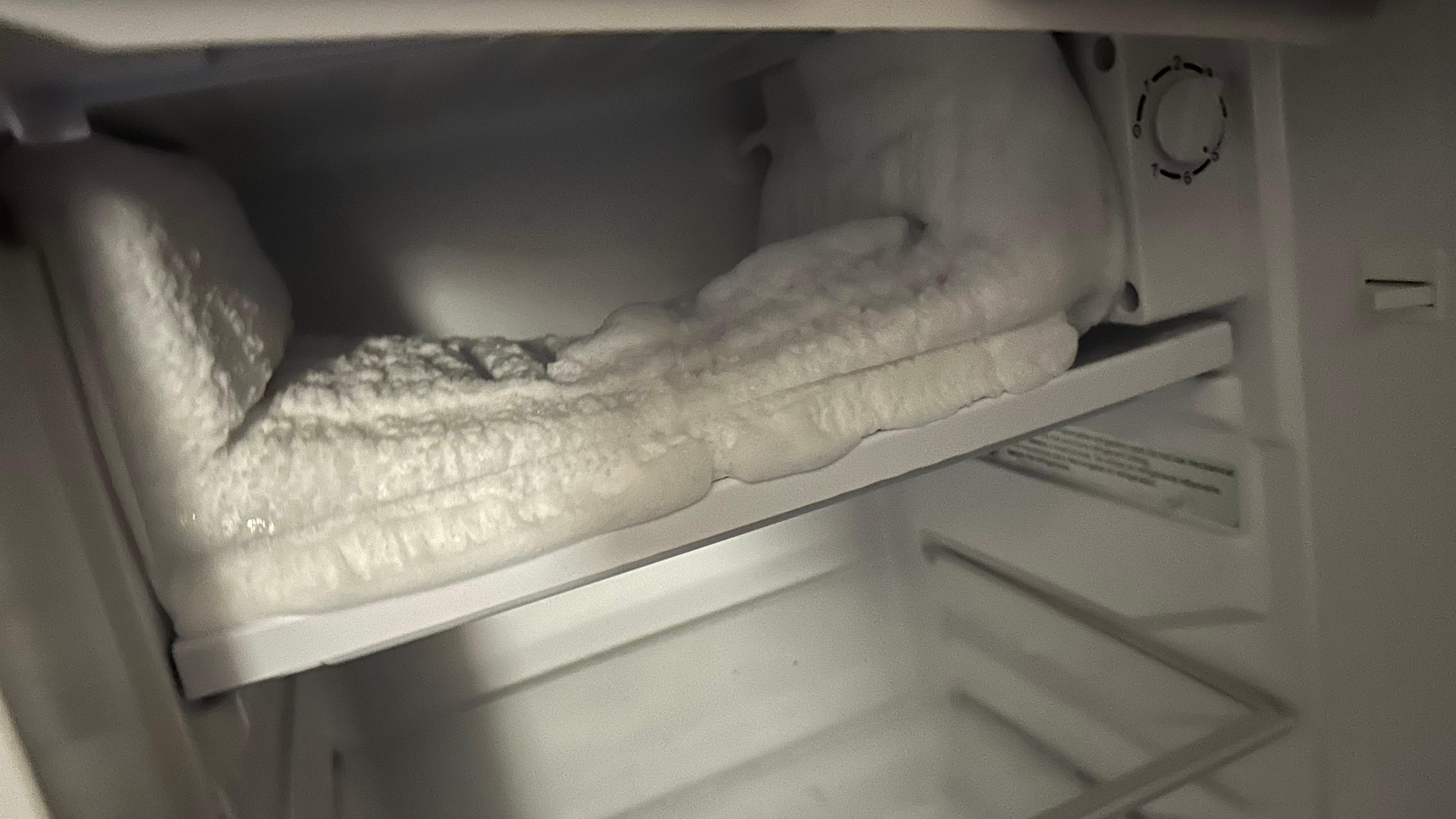 Needs to be defrosted 