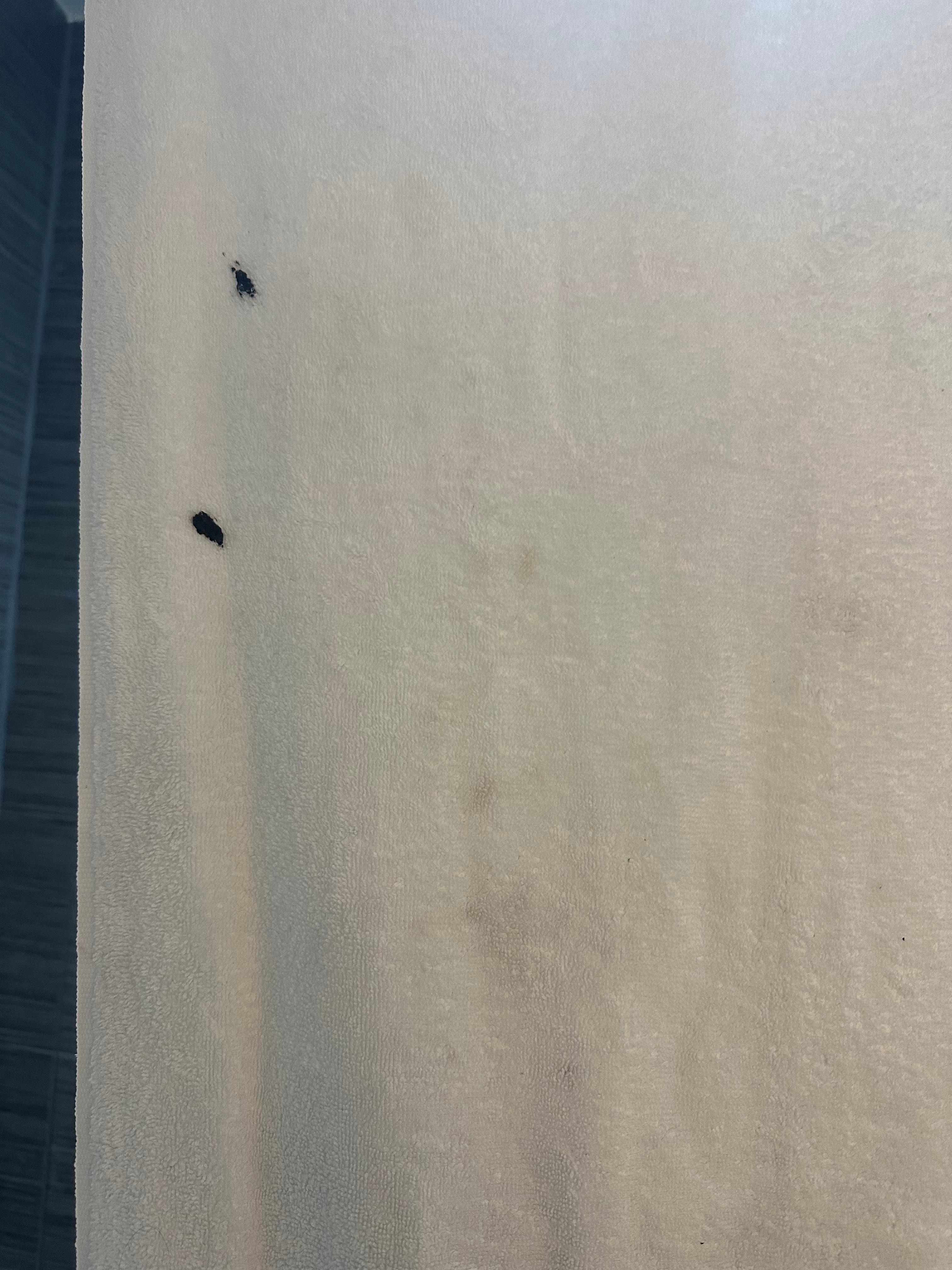 Towel given to me by laundry attendant 