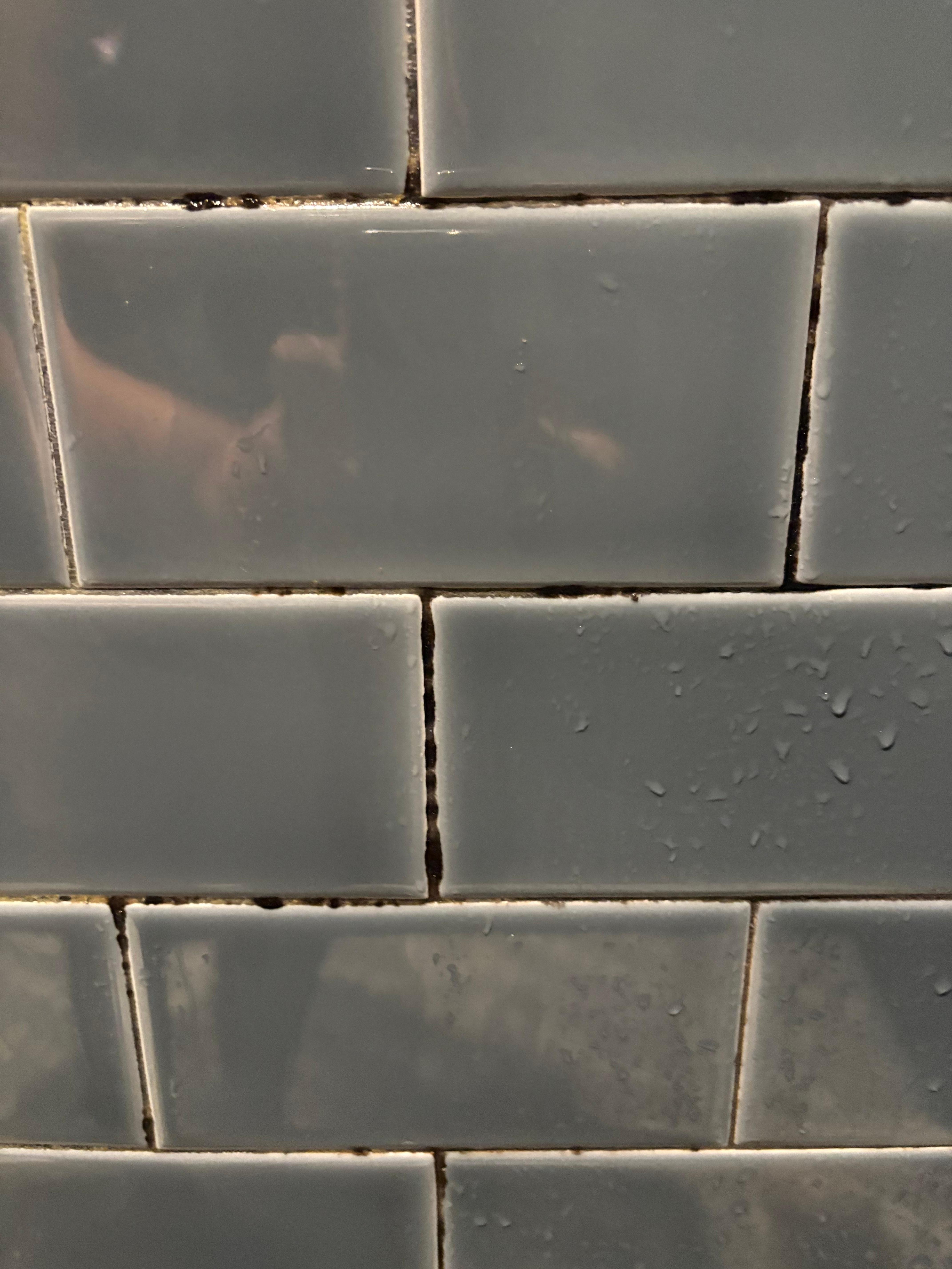 Mold in shower