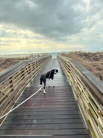 Molly loved going to the beach each and every day