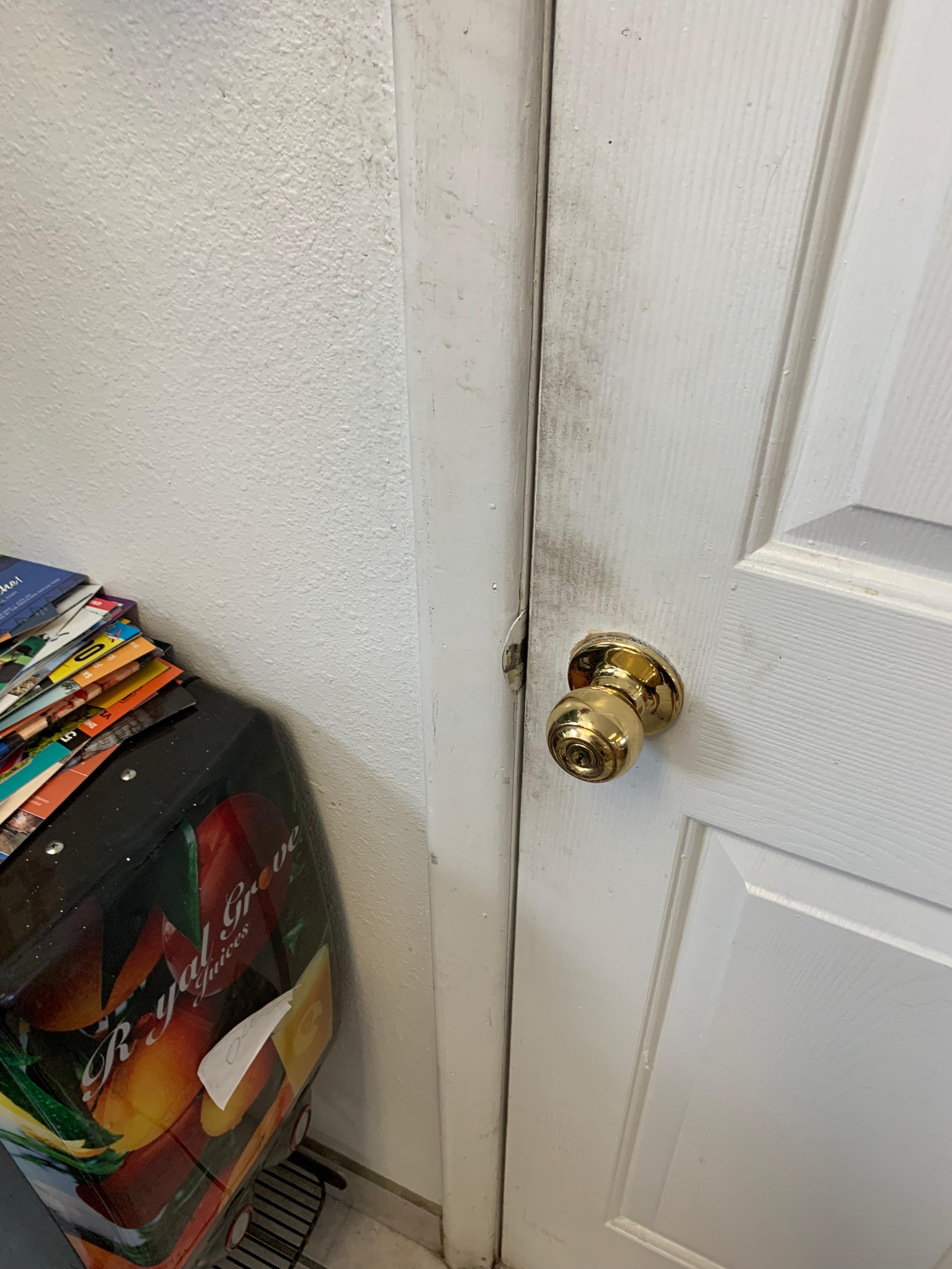 Filthy doors 