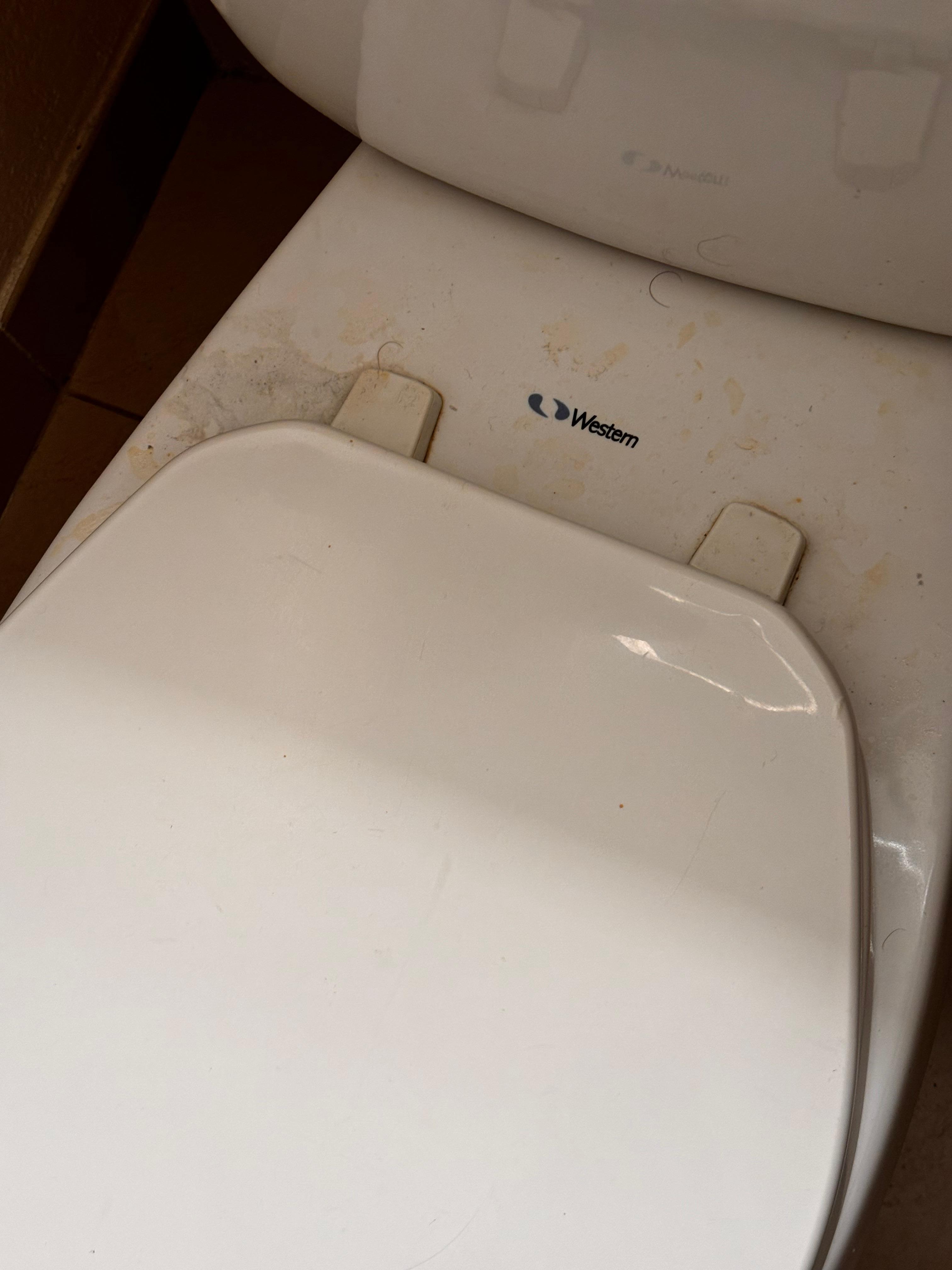 Used soap in the shower