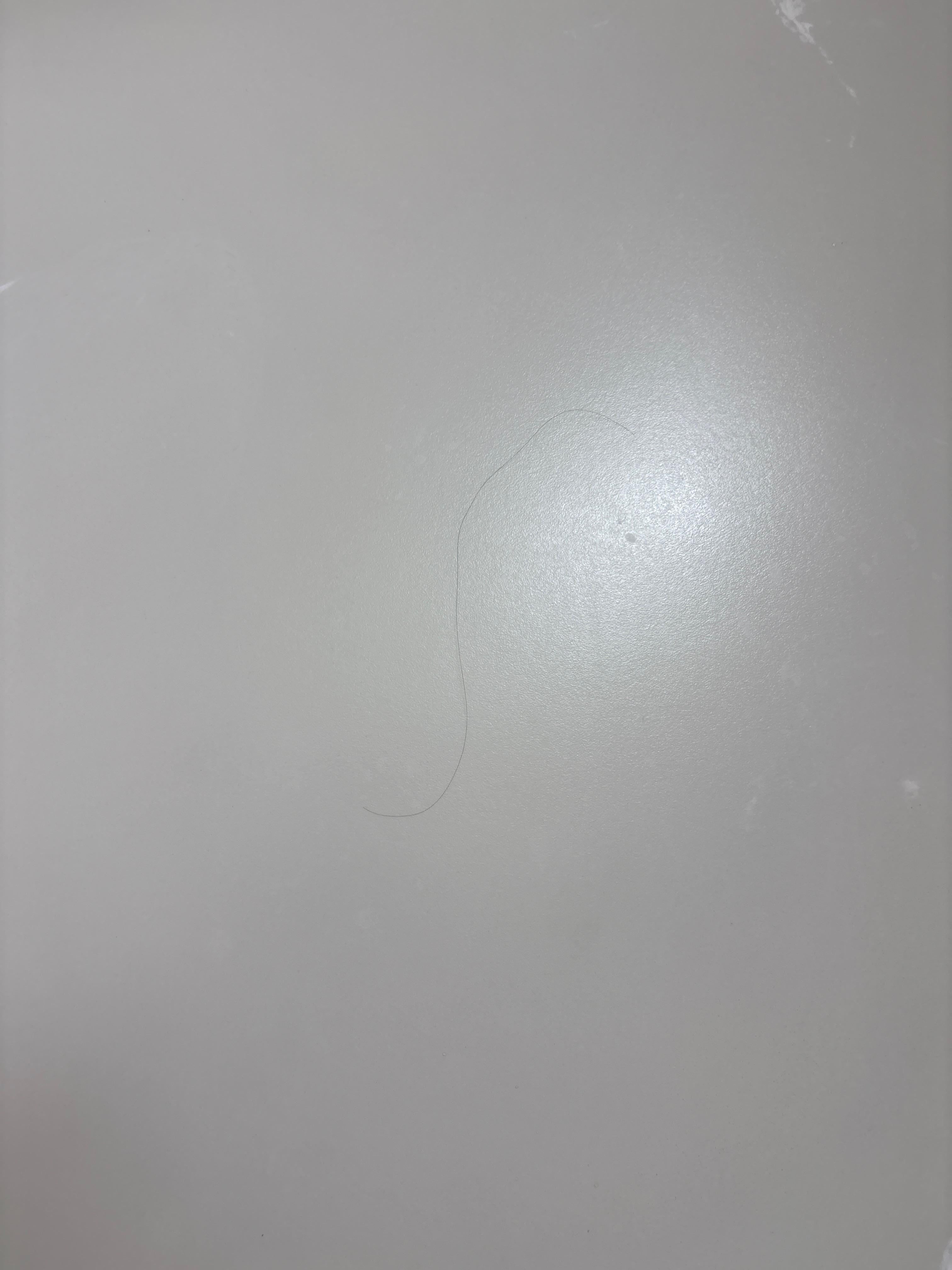 hair in shower- more was there but was washed down the drain 