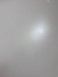 hair in shower- more was there but was washed down the drain