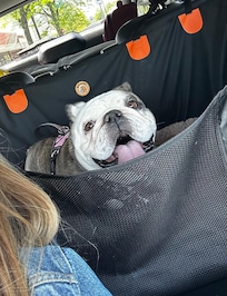 Razzle's first road trip.