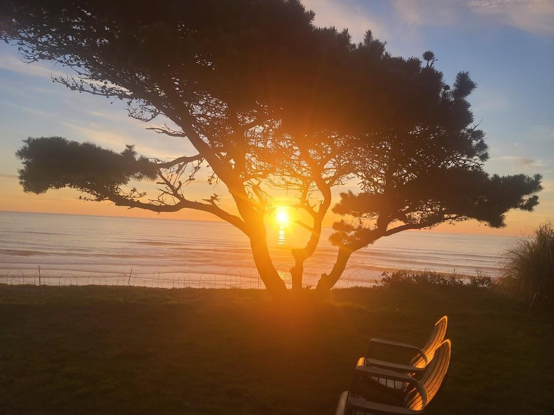 View from the backyard