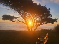 View from the backyard