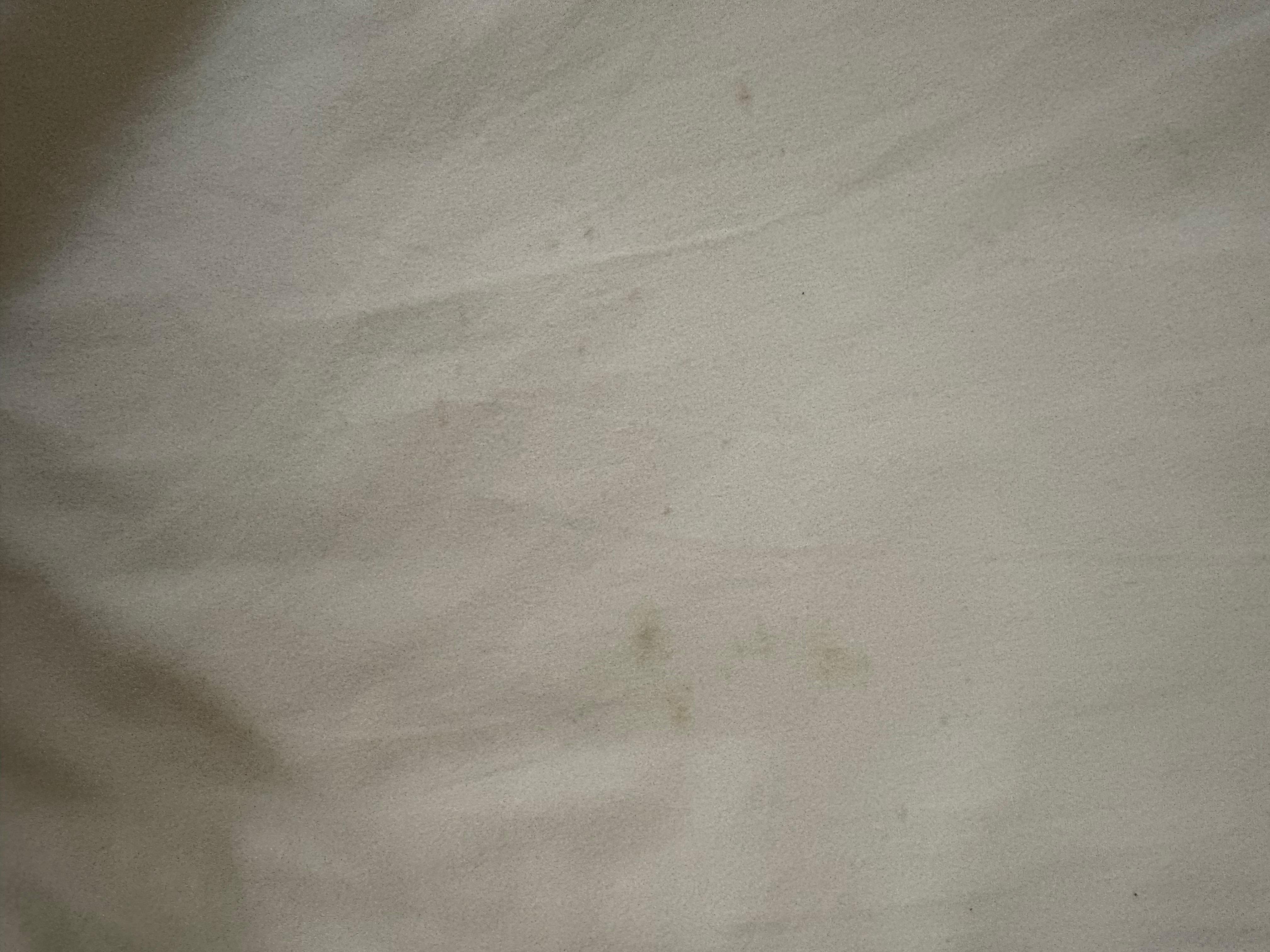 Mold on pillowcase