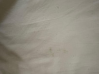 Mold on pillowcase