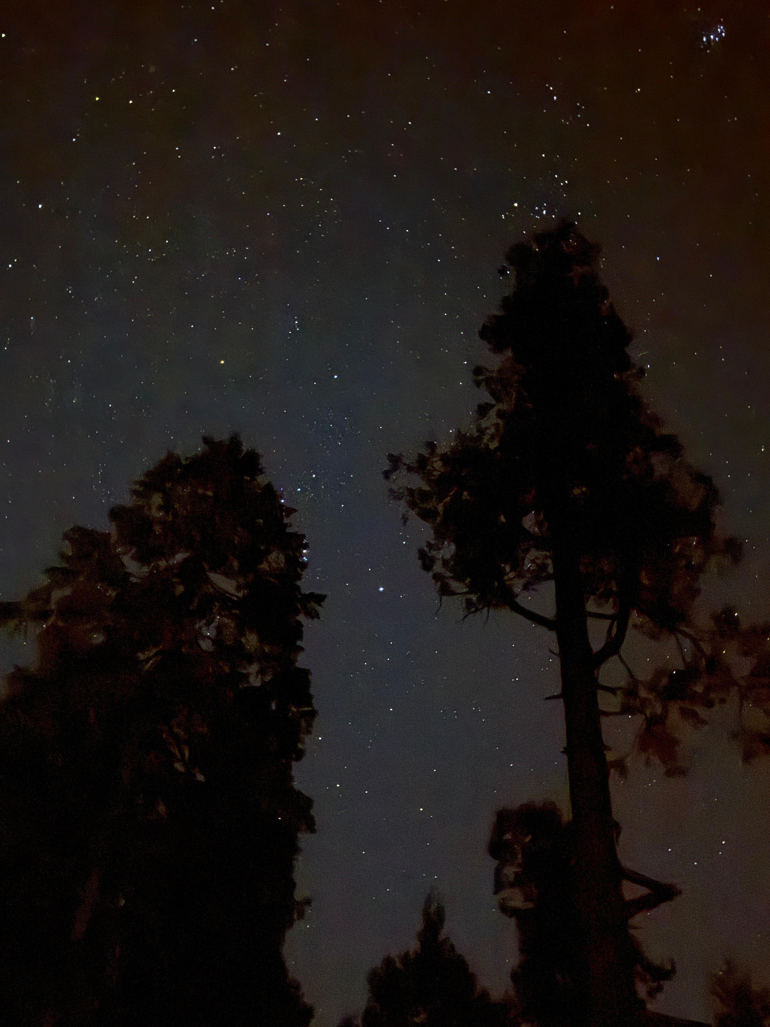 Picture from the back deck