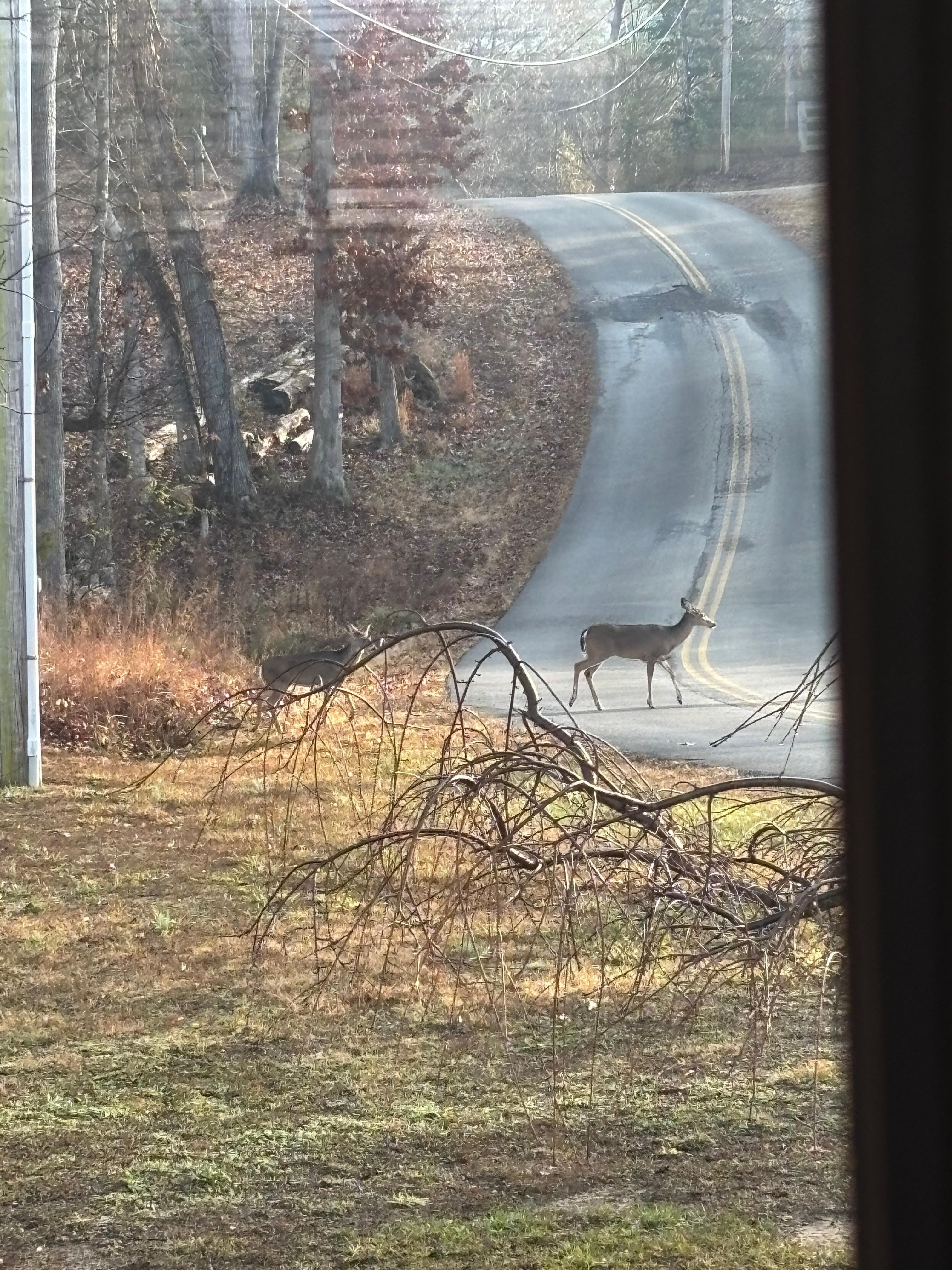From the front porch 