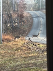 From the front porch