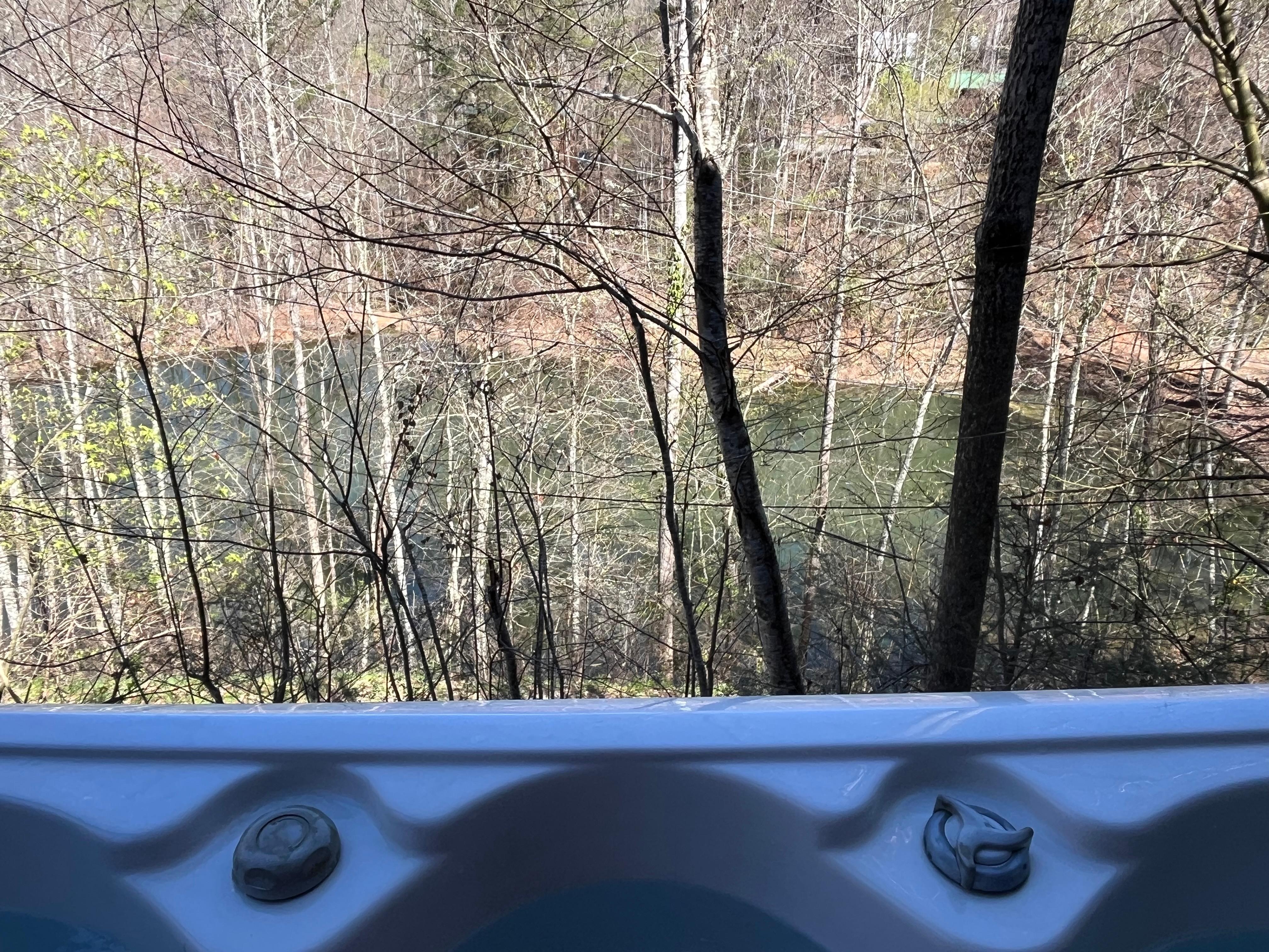 Pond view from the hot tub