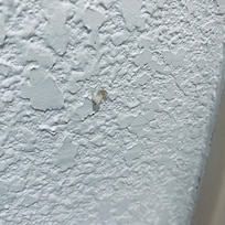 Boogers in the wall
