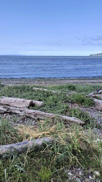 View of the water across the street from the cottage.