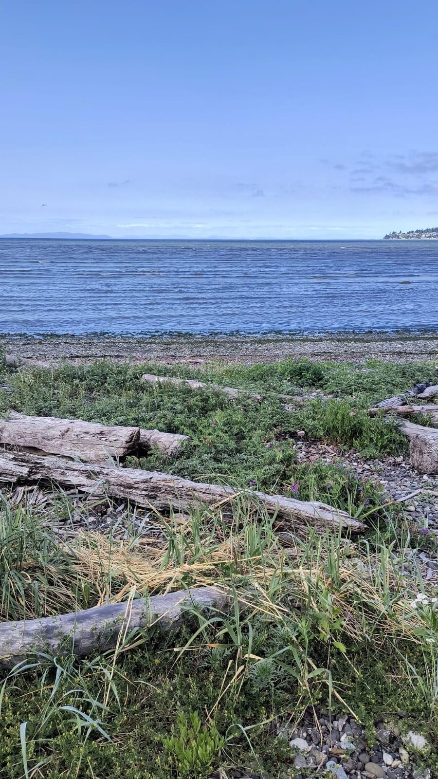 View of the water across the street from the cottage.