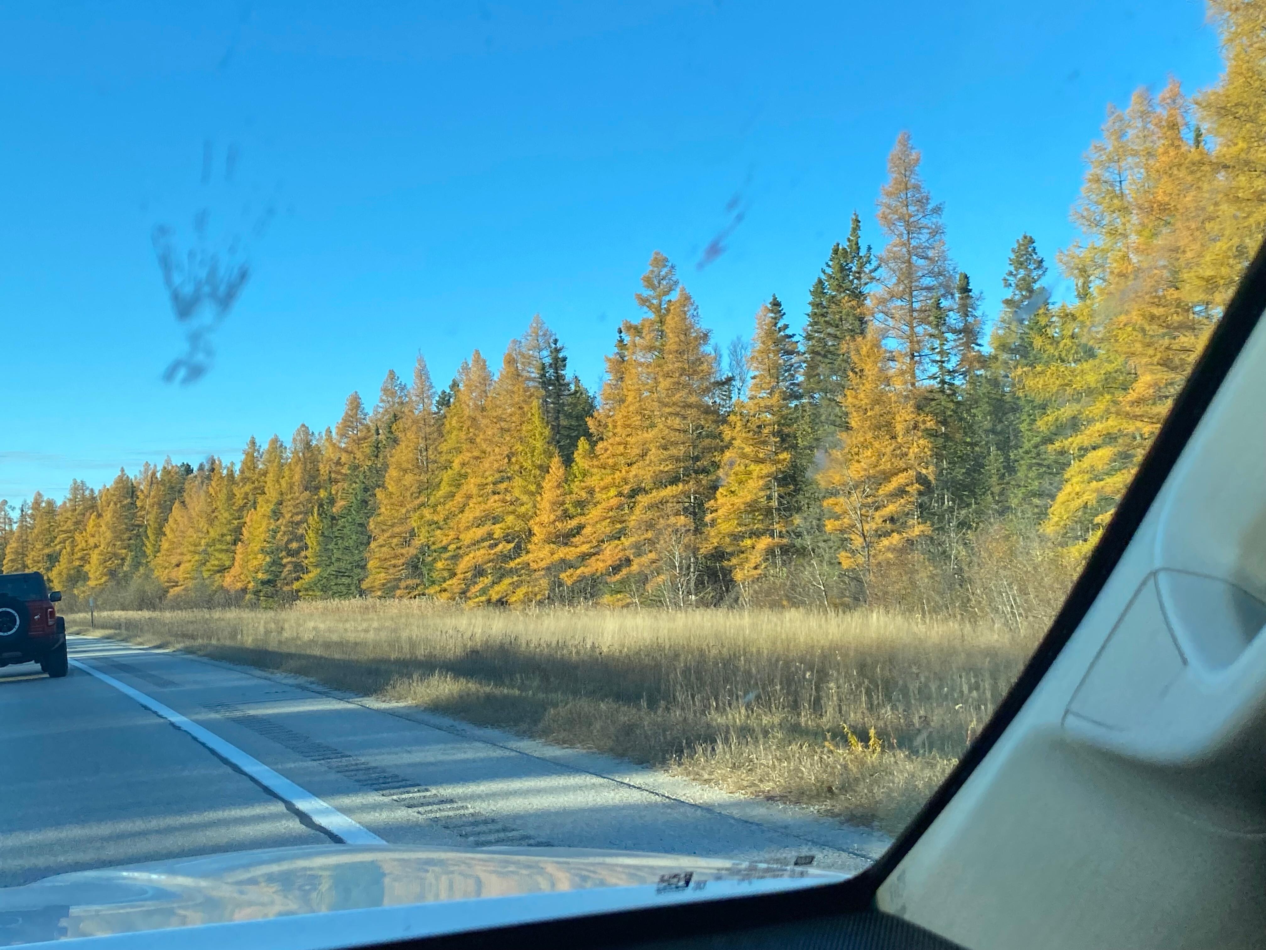 Discovering more of the U.P