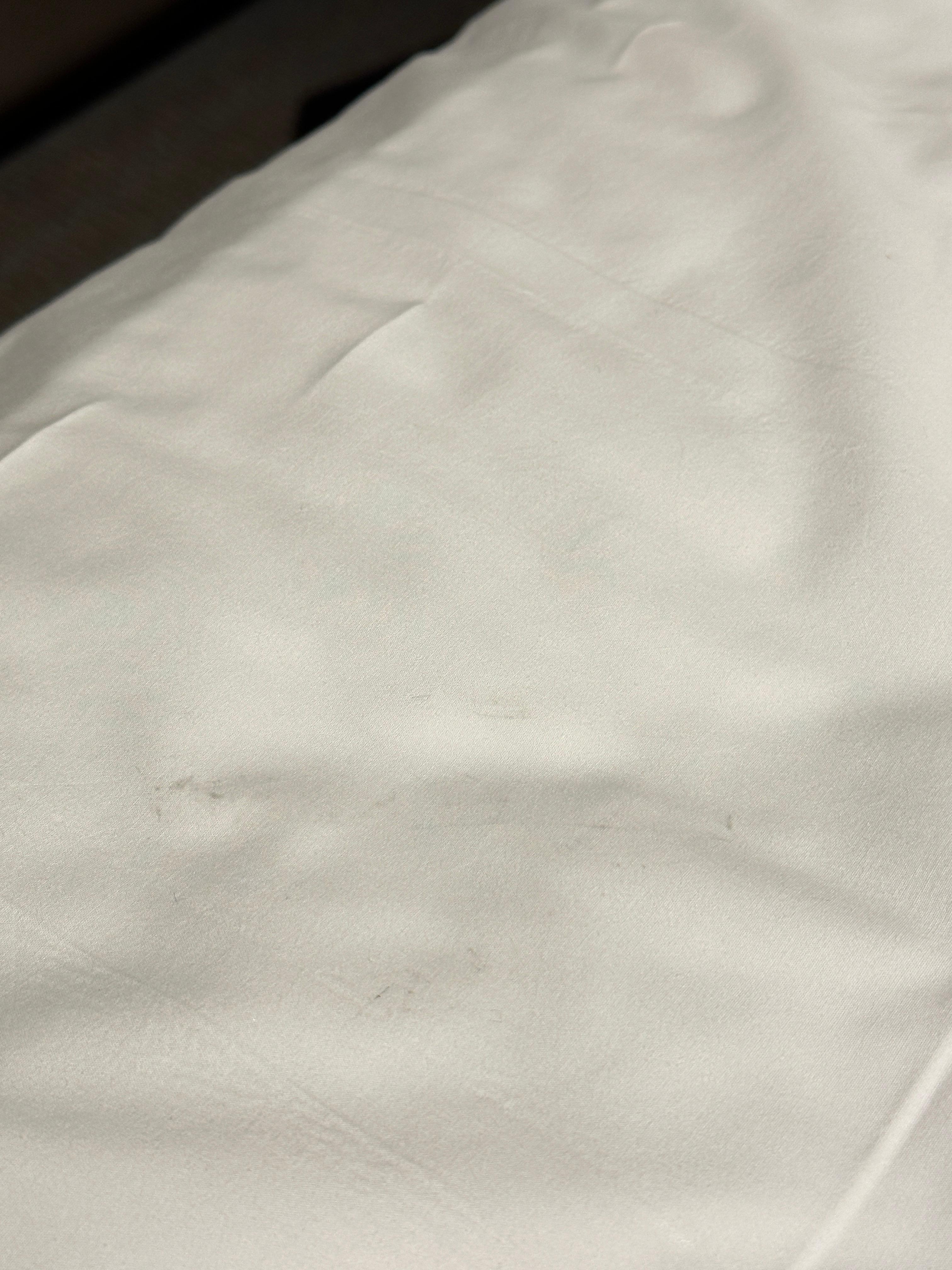 Dirt on the bedsheet