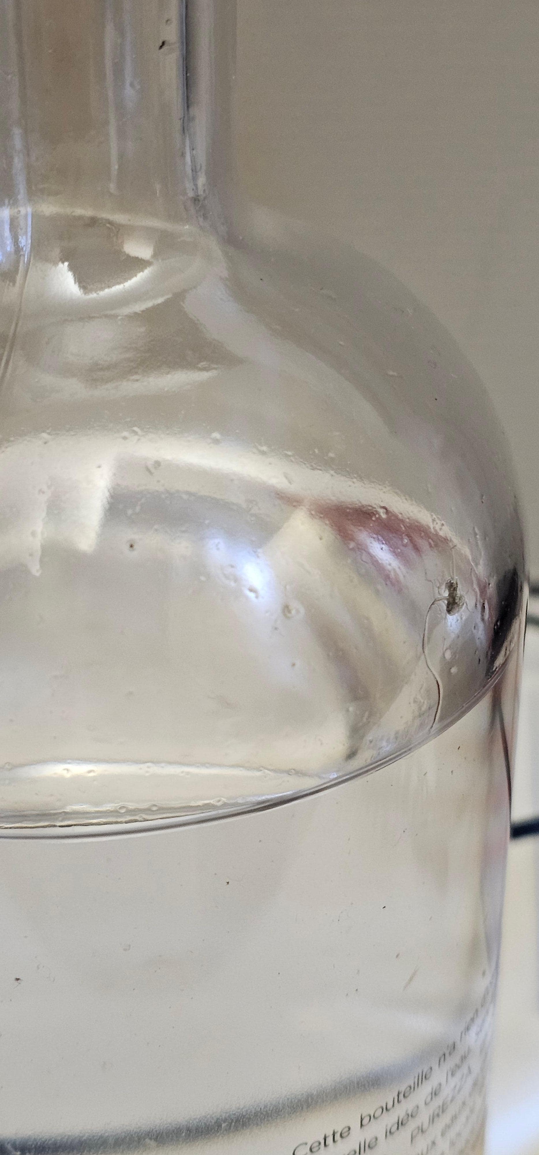 Polvere con capello all'interno della bottiglia fornita dall'albergo 