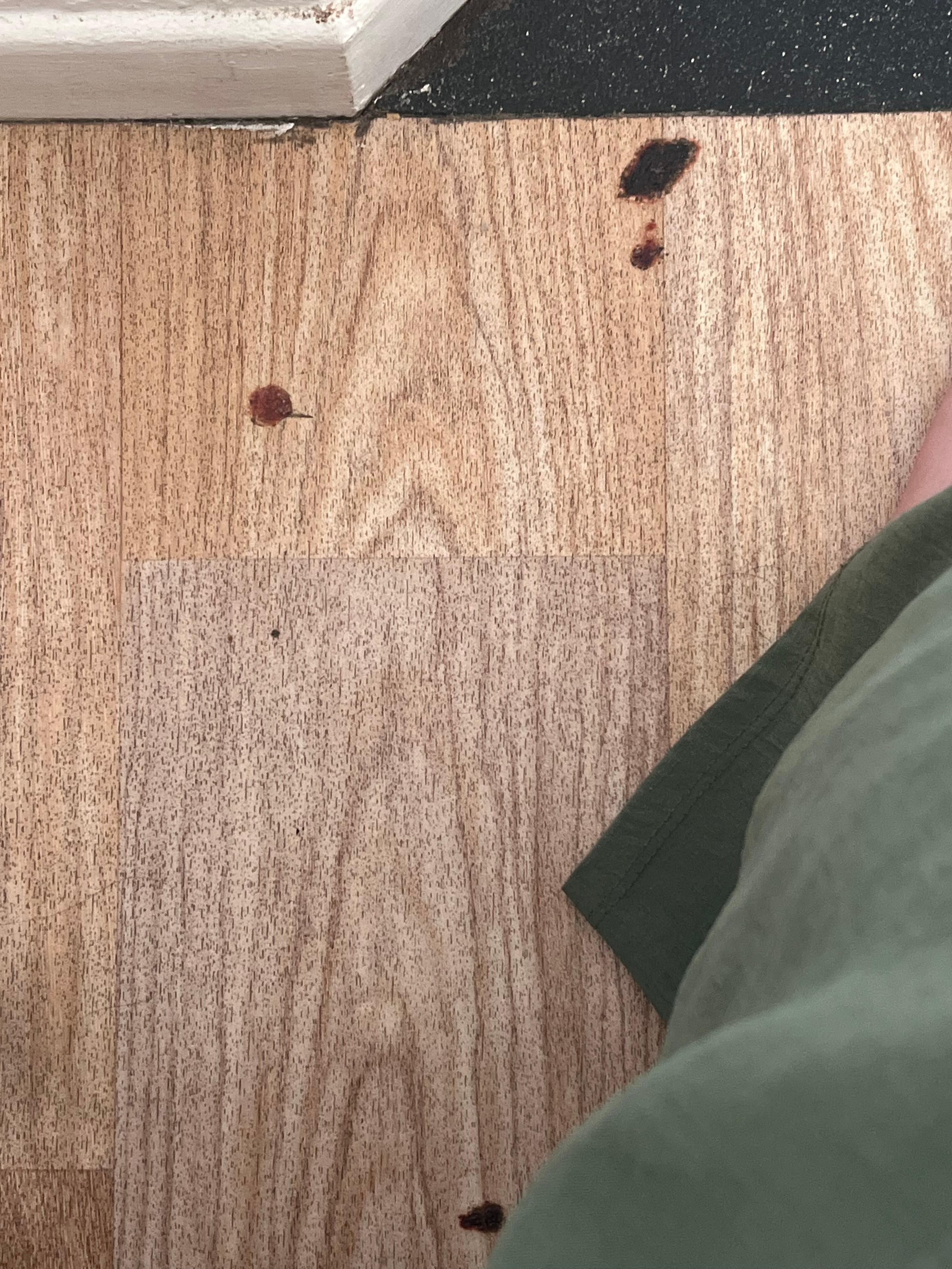 Des trace de sang ?? Sur le sol, on dirais que la chambre n’as pas été nettoyé 