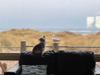 Gracie loved her views and her seagull friend never left!