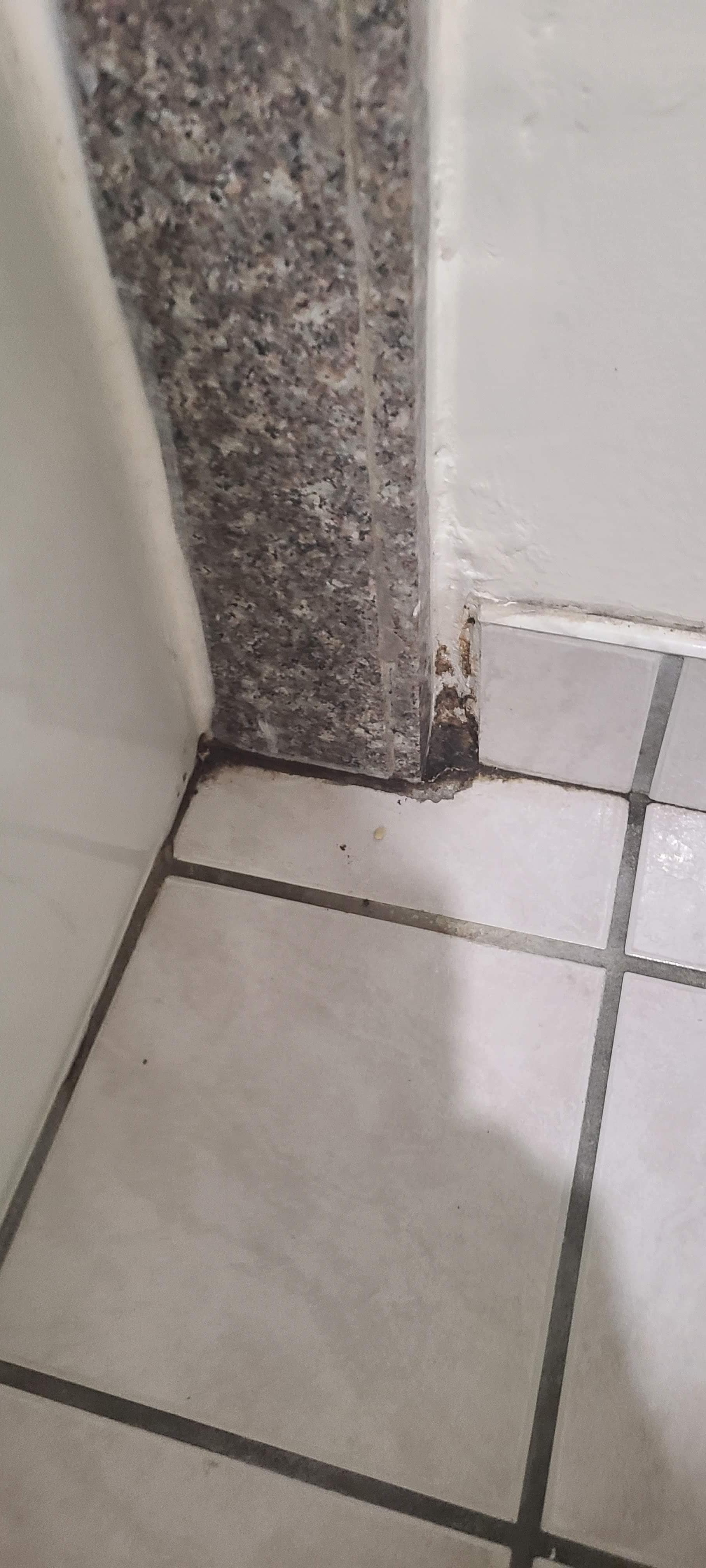 filthy bathroom floor