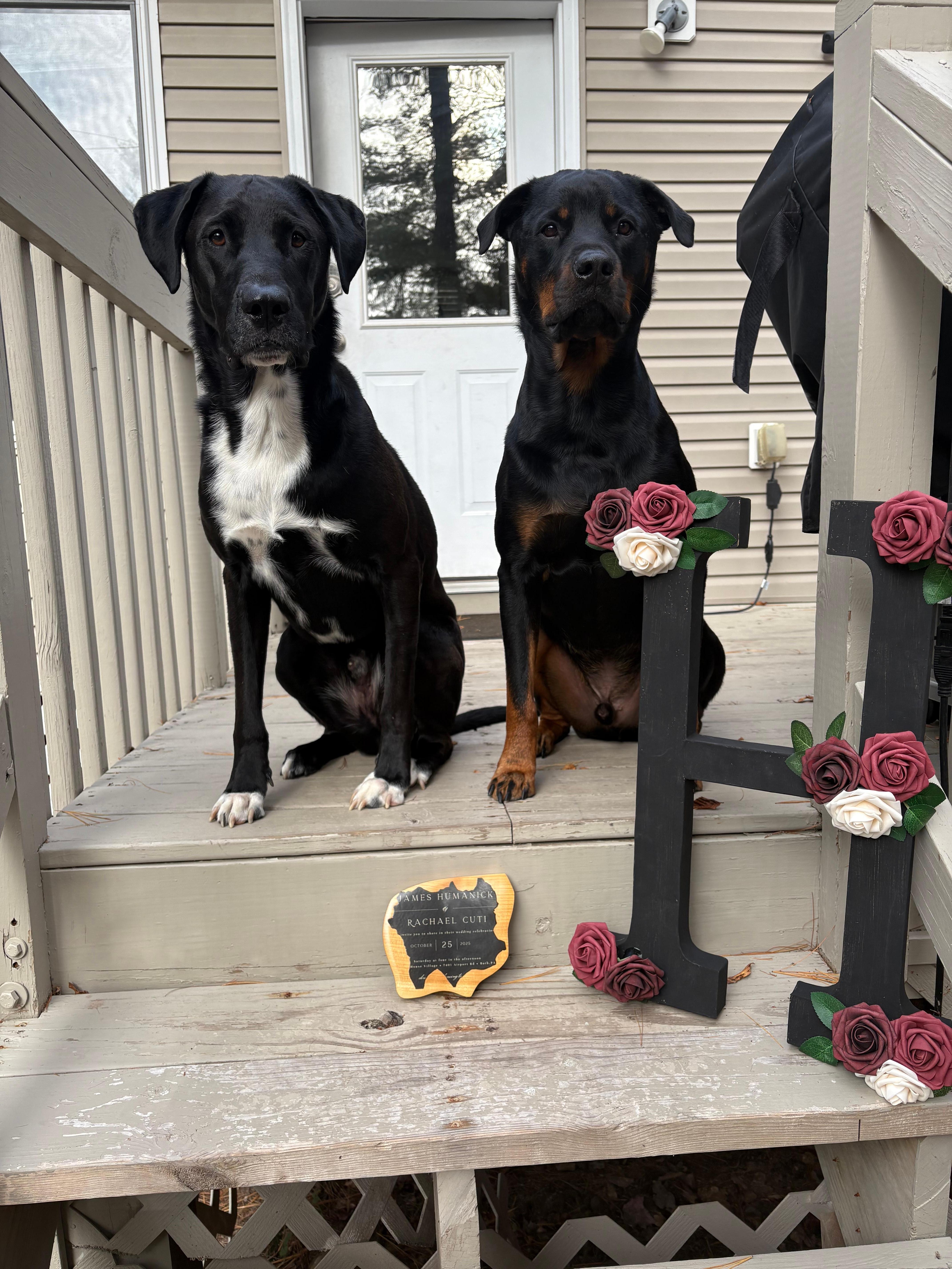 Thanks for allowing us to join mom and dad on their honeymoon, can’t wait for next time:)