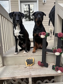 Thanks for allowing us to join mom and dad on their honeymoon, can’t wait for next time:)