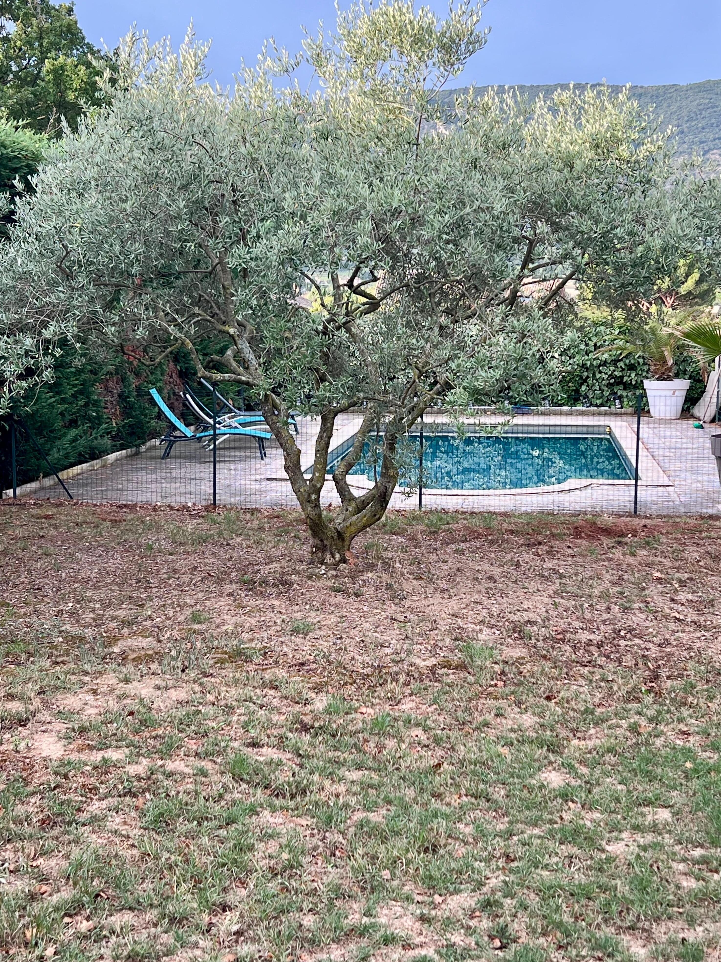 Het zwembad bij het huisje